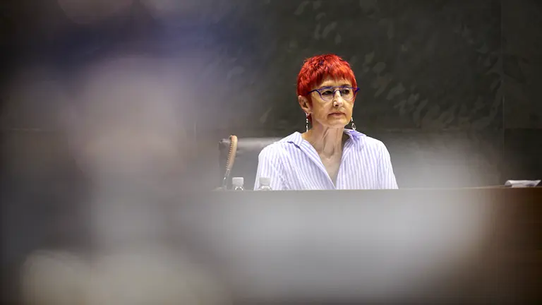 La consejera de Salud, Santos Indurain, comparece en el Parlamento de Navarra. PABLO LASAOSA
