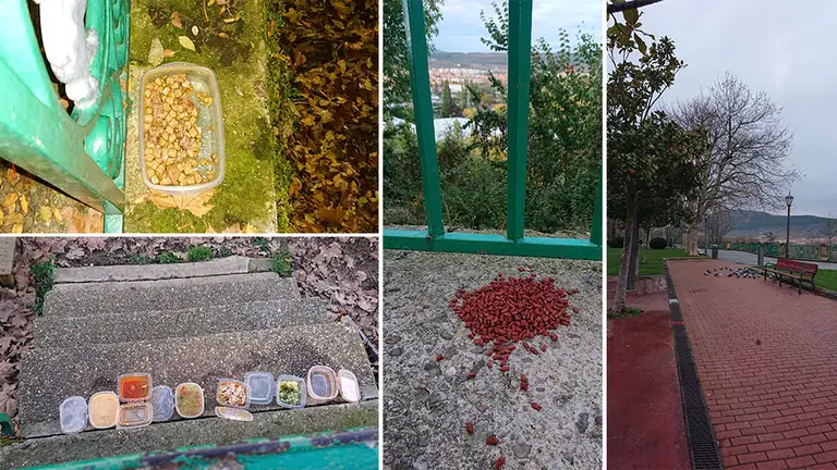 Varias de las comidas que algunas personas dejan en la calle para que los gatos y las palomas se alimenten en la zona de la Media Luna. CEDIDAS