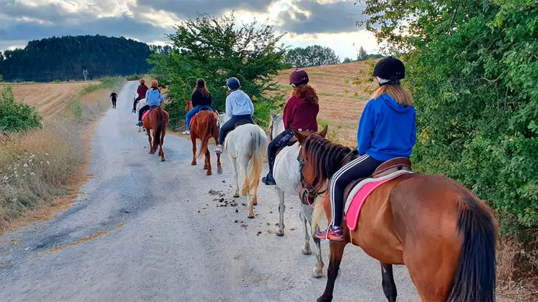 Varios jóvenes montando a caballo en una actividad organizada por el Ayuntamiento de Pamplona. CEDIDA