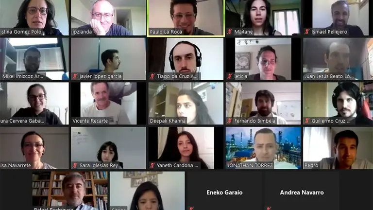 Imagen de la reunión virtual. UPNA