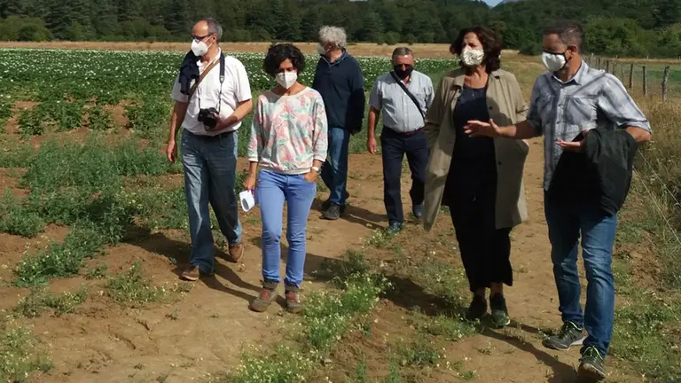 Fernando Santafé, Natalia Bellostas, Fermín Maeztu, Pedro Mascaray, Itziar Gómez, Pablo Muñoz GOBIERNO DE NAVARRA