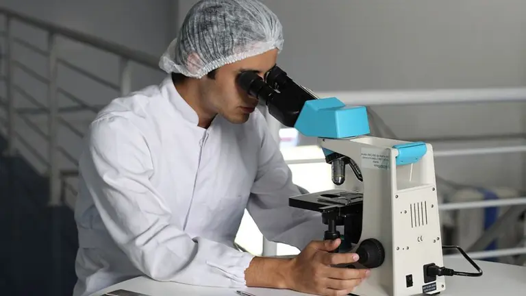 Imagen de archivo de un investigador. ARCHIVO