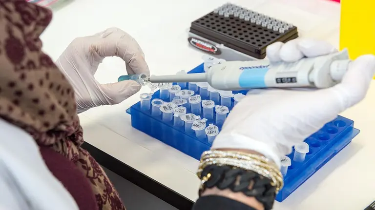 Coronavirus en C-LM.

Coronavirus en C-LM.

  (Foto de ARCHIVO)

3/7/2020