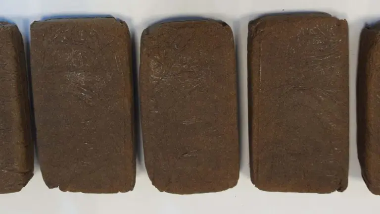 Localizado 1/2 kg de hachis en el interior de un vehículo que circulaba por avda. Bayona. POLICÍA MUNICIPAL