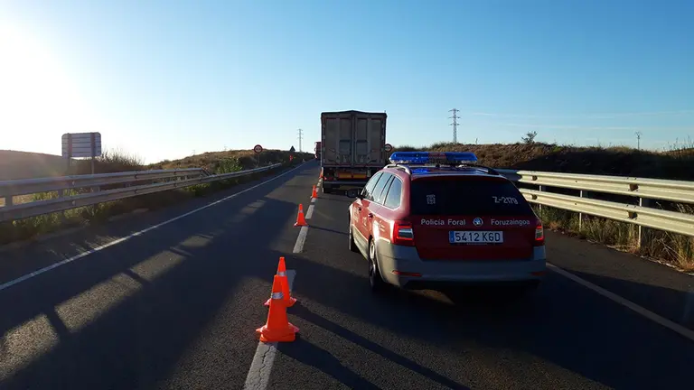 Un camión atropella a una yegua en Lodosa. POLICÍA FORAL