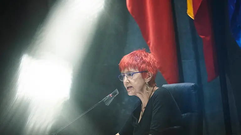 La consejera Santos Induráin durante una de sus intervenciones en el Parlamento de Navarra. PABLO LASAOSA