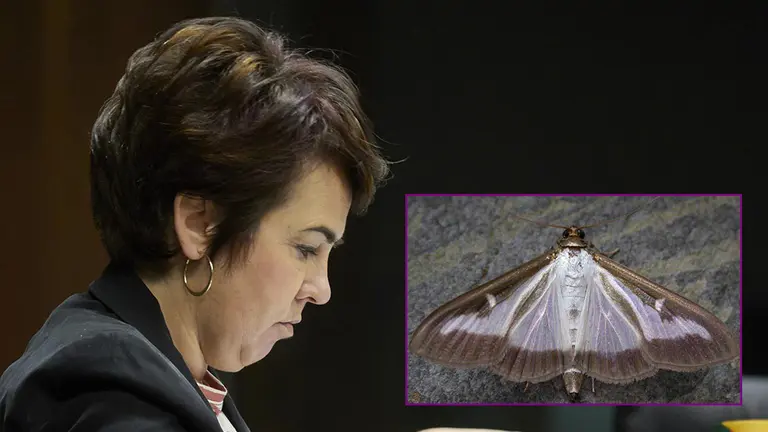 fotonoticia_20200919104147_1920 copia copia