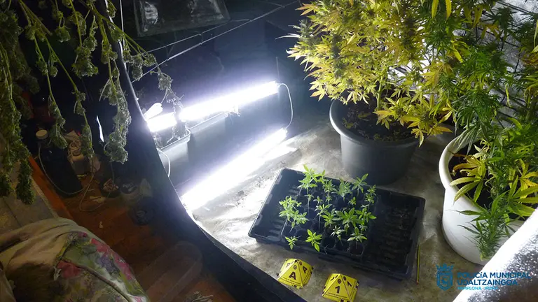 Parte de la droga que un joven de 18 años escondía en su casa para traficar. POLICÍA MUNICIPAL DE PAMPLONA