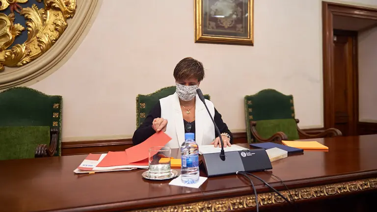 Pleno del ayuntamiento de Pamplona tras las nuevas restricciones por la segunda ola del coronavirus. MIGUEL OSÉS