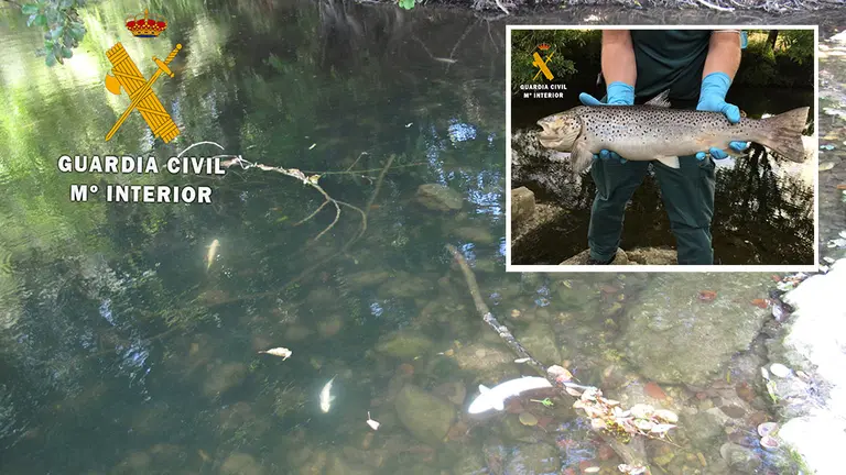 Vertido en las aguas del río Ulzama a su paso por Latasa. GUARDIA CIVIL