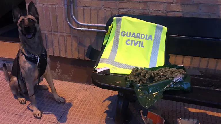 Detección de droga en un control de movilidad de la Guardia Civil. - GUARDIA CIVIL