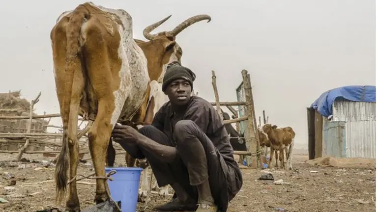Exposición fotográfica sobre África, en la Ciudadela de Pamplona. AFROTROPÍA