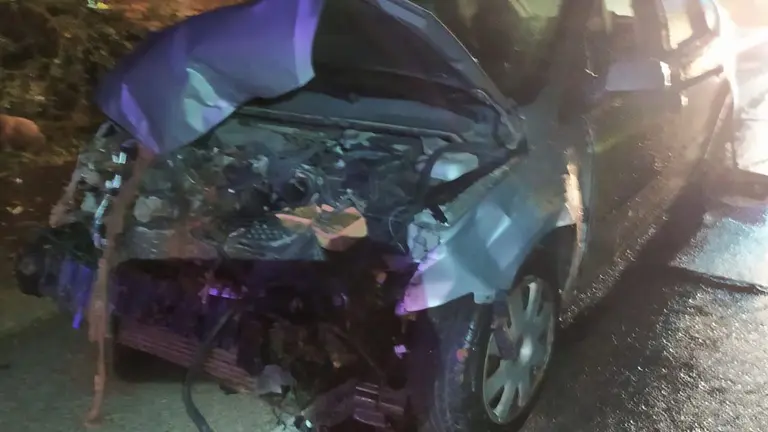 Vehículo dañado tras atropellar un rebaño de ovejas en Ablitas BOMBEROS DE NAVARRA