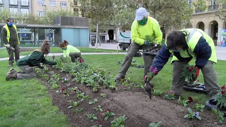 Personal del Ayuntamiento de Pamplona durante la plantación de las aproximadamente 48.000 plantas en flor necesarias para la temporada de otoño. CEDIDA