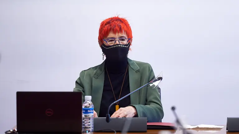 Comisión de Salud del Parlamento. Comparece la consejera Santos Induráin para valorar el informe de la Cámara de Comptos sobre retribuciones variables del Servicio Navarro de Salud en los ejercicios 2018 y 2019. MIGUEL OSÉS