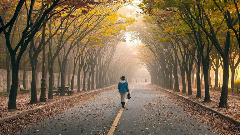 Una persona camina por una carretera.