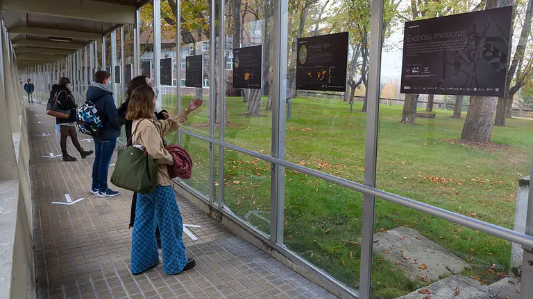 Exposición sobre las especies exóticas invasoras presentes en el campus de la Universidad de Navarra. UNAV
