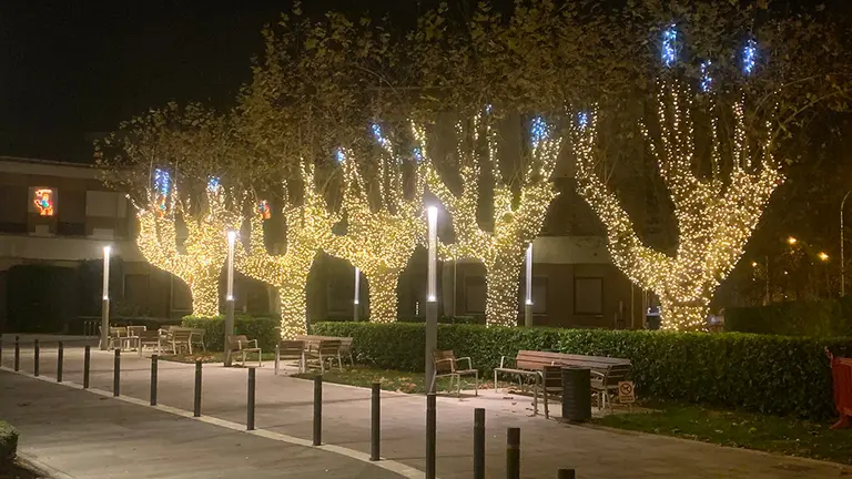 Iluminación navideña 2020 en la Casa de Misericordia de Pamplona. Navarra.com