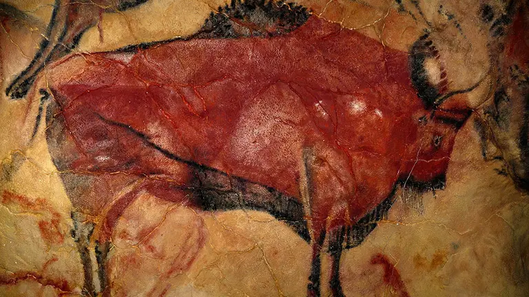 Famosa pintura de un bisonte encontrada en la cueva de Altamira. ARCHIVO