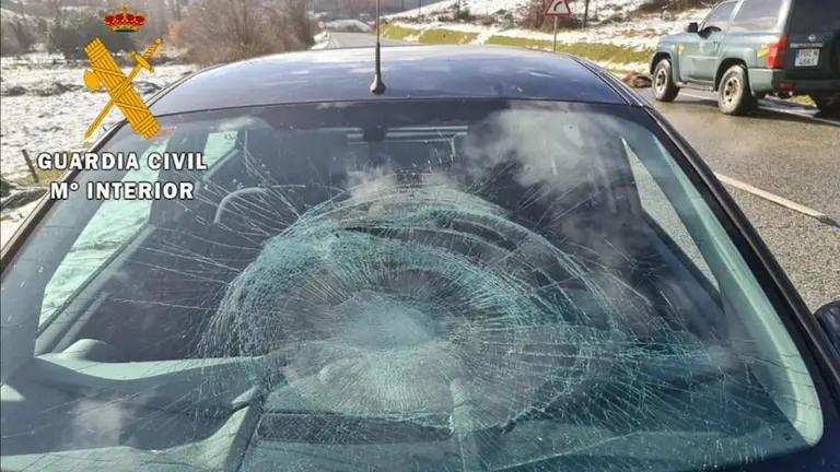 Estado del vehículo tras colisionar con un corzo en la N-135 km 18. GUARDIA CIVIL