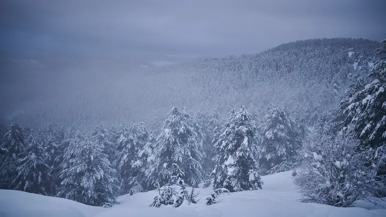 En los últimos días ha caído más de un metro y medio de nieve en el Valle de Roncal. PABLO LASAOSA