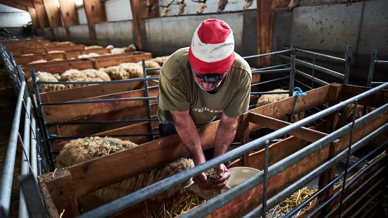 La familia de Javier fue la primera en quedarse en invierno en la montaña. Al principio con 300 ovejas luego el rebaño fue creciendo hasta llegar a 750. PABLO LASAOSA