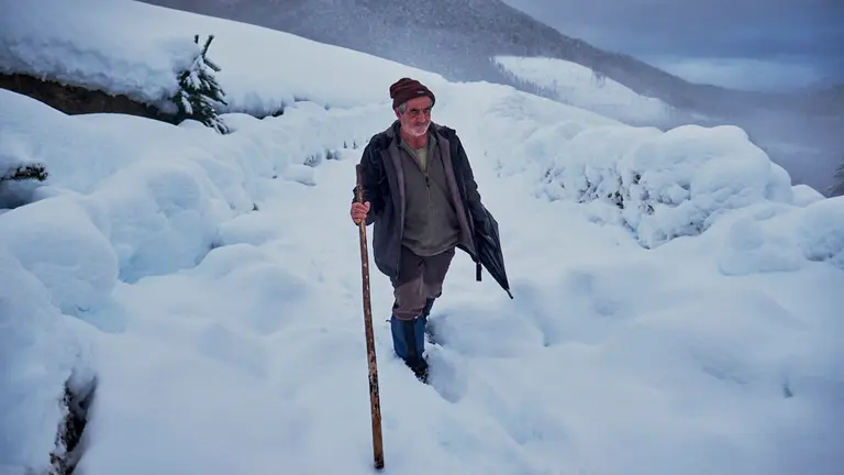 Javier tiene que andar más de 20 minutos por el monte ante la imposibilidad de llegar hasta sus ovejas en vehículo. PABLO LASAOSA