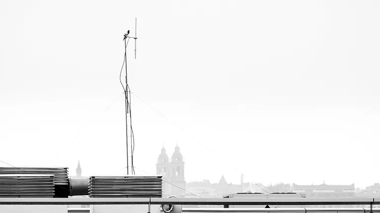 Fotografía de José Luis Sanagérico ganadora del concurso fotográfico Enfoca Pamplona. AYUNTAMIENTO DE PAMPLONA