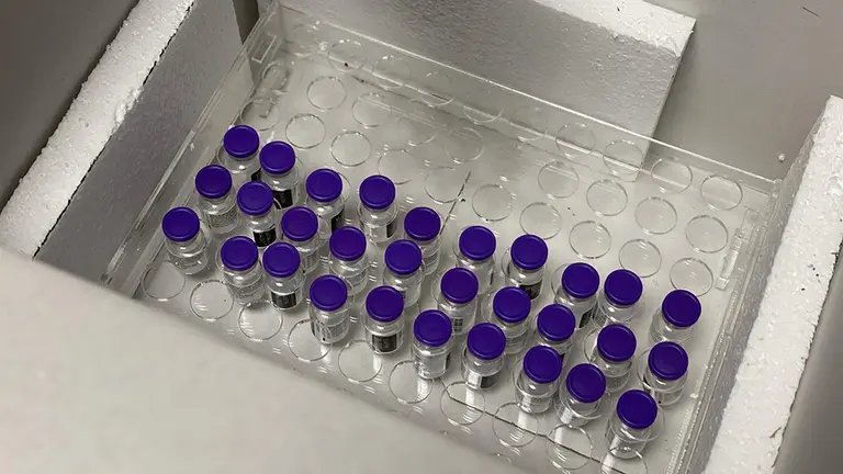 Varias dosis de la vacuna de Pfizer contra la Covid-19. CEDIDA