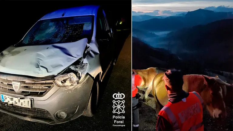 Furgoneta dañada tras chocar contra una yegua en una carretera de Navarra. POLICÍA FORAL