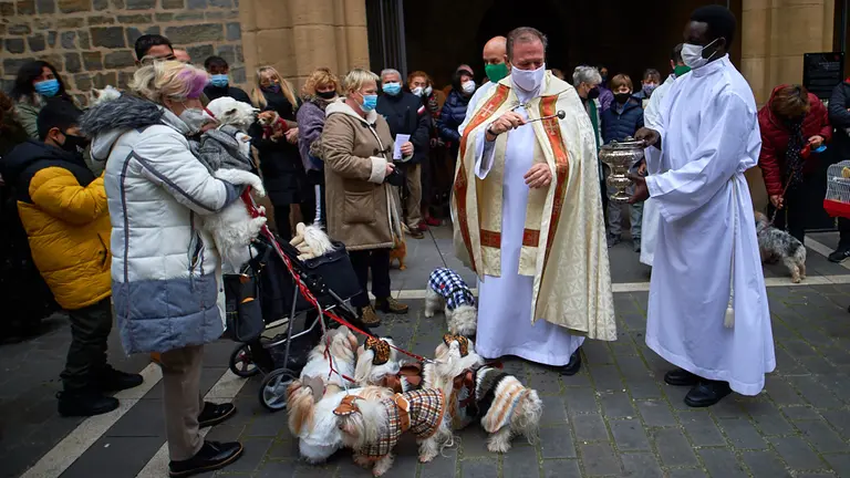Decenas de personas acuden con sus mascotas en Pamplona a la bendición de San Antón
Decenas de personas acuden con sus mascotas en Pamplona a la bendición de San Antón
Decenas de personas acuden con sus mascotas en Pamplona a la bendición de San Antón. MIGUEL OSÉS