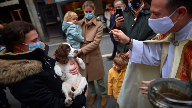 Decenas de personas acuden con sus mascotas en Pamplona a la bendición de San Antón
Decenas de personas acuden con sus mascotas en Pamplona a la bendición de San Antón
Decenas de personas acuden con sus mascotas en Pamplona a la bendición de San Antón. MIGUEL OSÉS