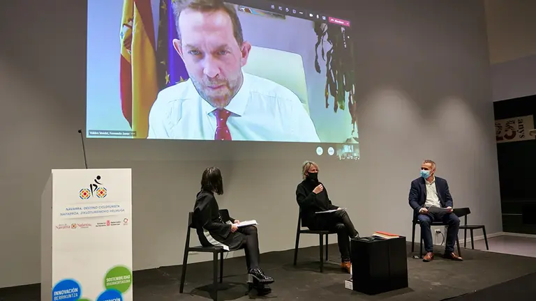 Fernando Valdés, secretario de Estado de Turismo, ha participado en la jornada por videoconferencia. GOBIERNO DE NAVARRA