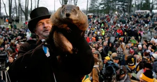 La marmota Phil el día 2 de febrero de 2017 después de su pronóstico. CRÓNICA GLOBAL / EFE