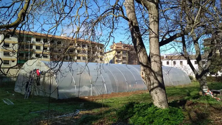Lugar en el que se ha llevado a cabo un ecohuerto social en Estella. CEDIDA