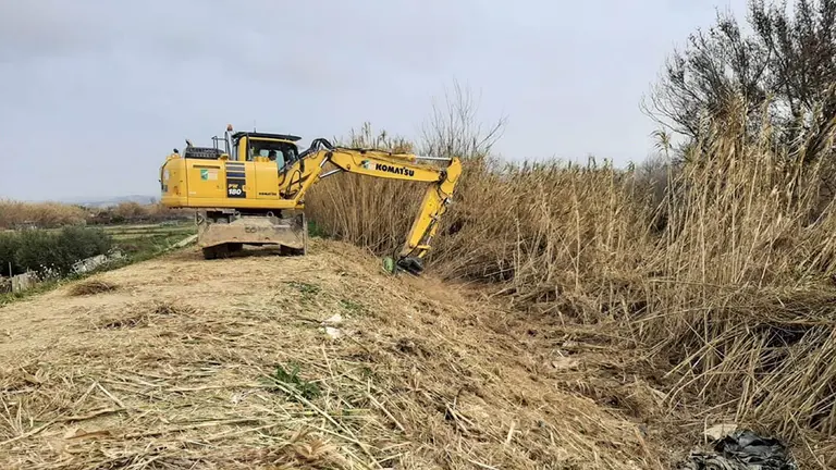 Comienzan en Buñuel trabajos de eliminación de especies de flora invasora en el tramo medio del Ebro. CONFEDERACIÓN HIDROGRÁFICA DEL EBRO
