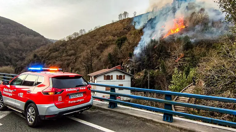 Agentes de la Policía Foral trabajan en el incendio desatado en las cercanías de Bera. POLICÍA FORAL