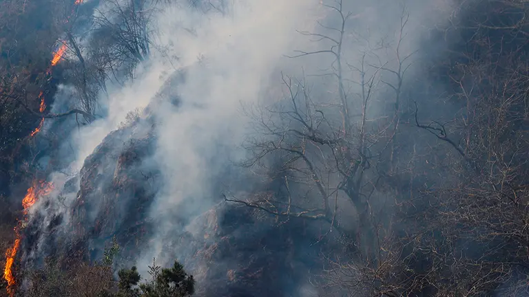 GRAFCAV3216. ENDARLATSA (GIPUZKOA), 21/02/2021.- Vista de un foco del incendio forestal que afecta al norte de Navarra y Gipuzkoa este domingo en Endarlatsa (Gipuzkoa), que actualmente se encuentra "estabilizado" en la parte guipuzcoana, donde los equipos de extinción trabajan en dos "puntos críticos", en Endarlatsa y en una zona próxima a dos bordas de Irun. EFE/Javier Etxezarreta
