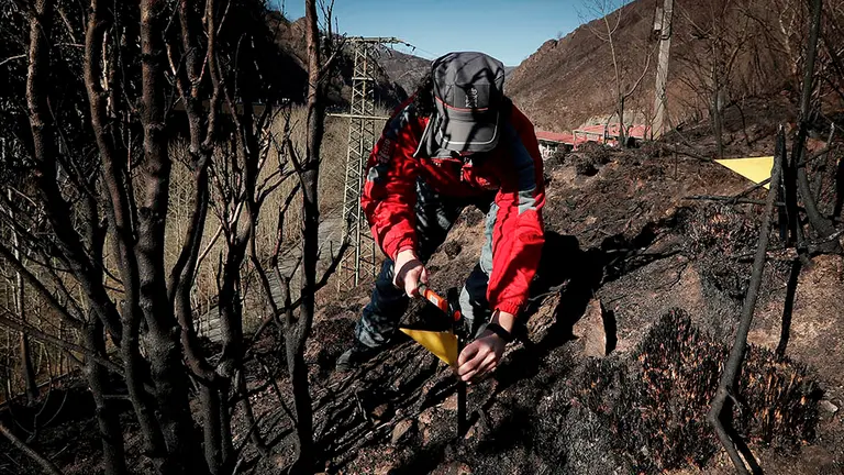 Un equipo de la Policía Foral ha comenzado la investigación de campo en el punto en el que al parecer comenzó el fuego que originó el incendio en Bera que ha calcinado 1.800 hectáreas en Navarra, Guipúzcoa y Francia. EFE/ Villar López