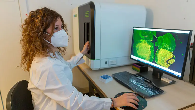 Una investigadora de la Universidad de Navarra. CEDIDA