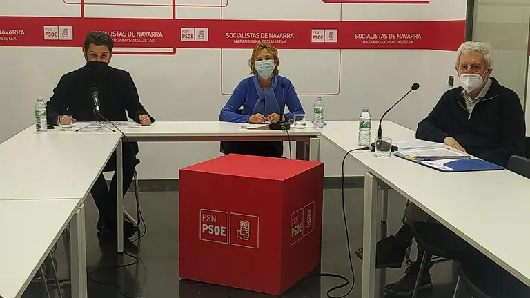 Participantes en una jornada online sobre la ley de eutanasia organizada por el PSN - PSN