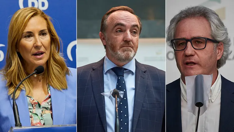 Montaje con Ana Beltrán (PPN), Javier Esparza (UPN) y Carlos Pérez-Nievas (Ciudadanos). NAVARRA.COM