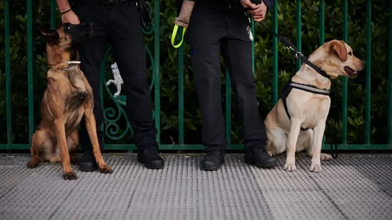 Dos miembros de la patrulla canina de la Policía Municipal de Pamplona encargados de detectar droga. PABLO LASASOA