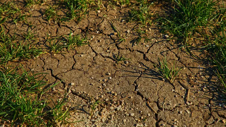 Imagen de archivo de un terreno abandonado. ARCHIVO