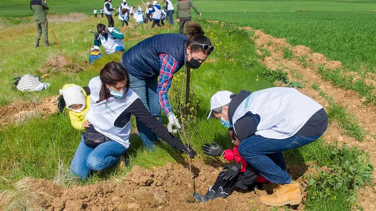 Empleados de Siemens Gamesa y sus familias plantan árboles en Mendaza. VK COMUNICACIÓN