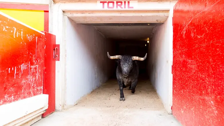 Presentación del recorrido que se ha habilitado para las visitas a la Plaza de Toros de Pamplona. IÑIGO AZULGARAY
