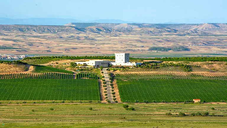 Finca Bolandin de la Bodega Pago de Cirsus. CEDIDA