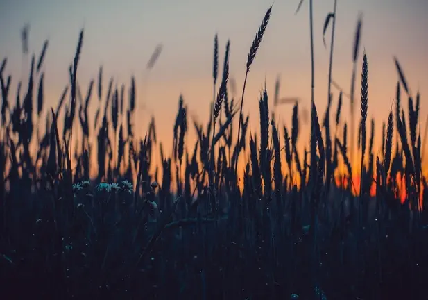 El tiempo en Irurzun AEMET Foto: Pexels
