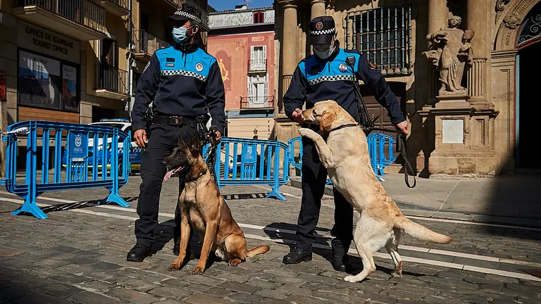 Presentación a la comisión de Presidencia del Ayuntamiento de la unidad canina de Policía Municipal. PABLO LASAOSA