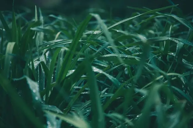 El tiempo en Lumbier AEMET Foto: Pexels